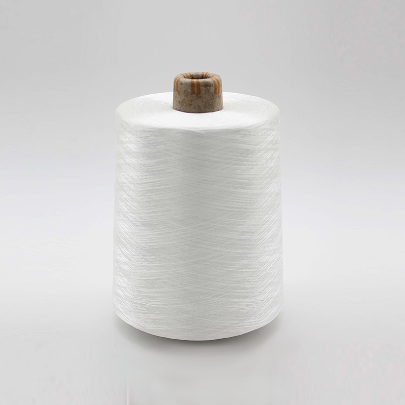Polyester FDY Embroidery Thread 150/3